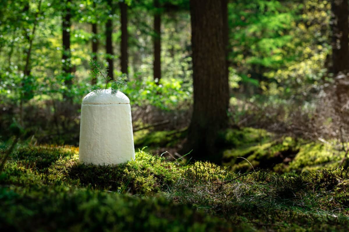 As uitstrooien in de natuur. Mag dat?