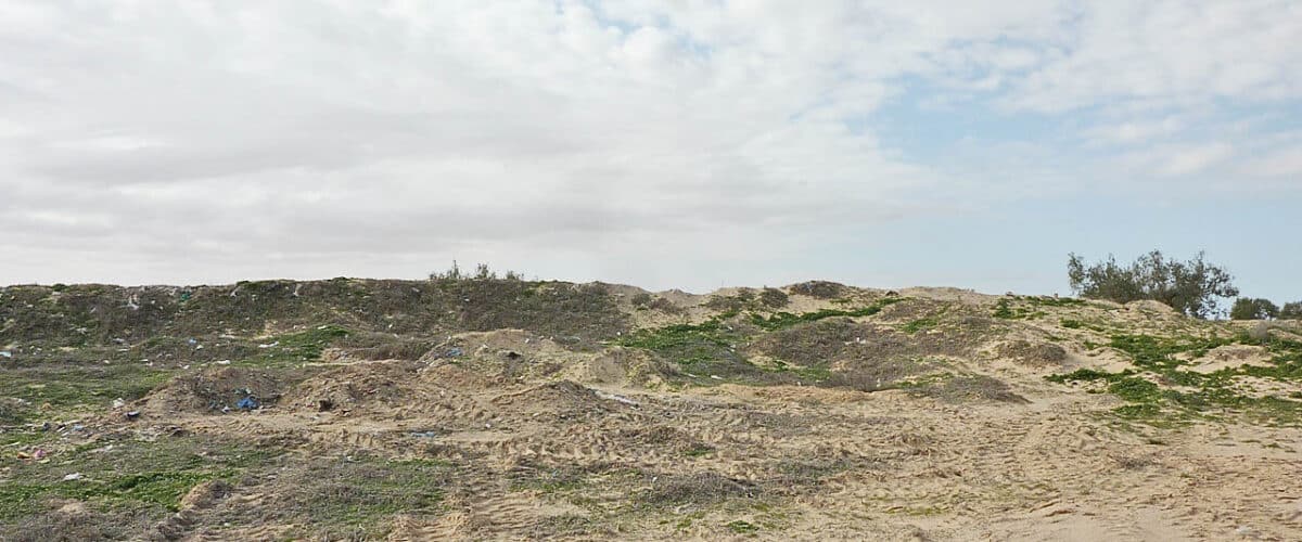 Alma Uitvaartzorg is de duurzame uitvaartonderneming van Het Gooi.