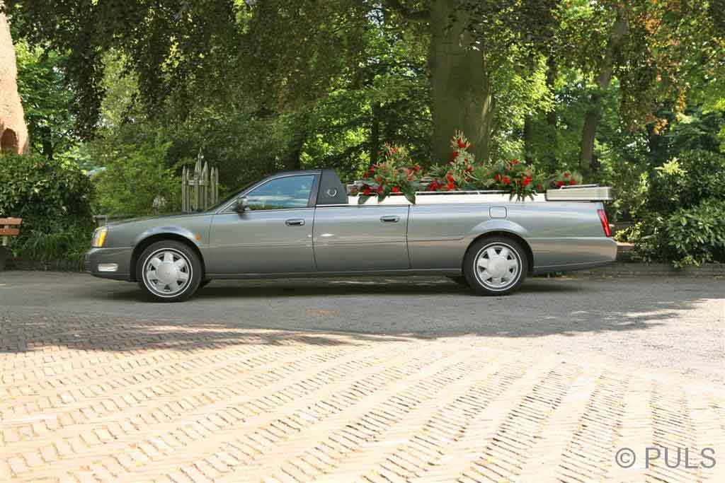 Verslingerd aan bloemenhagen