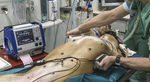 Pacemakers doneren voor honden