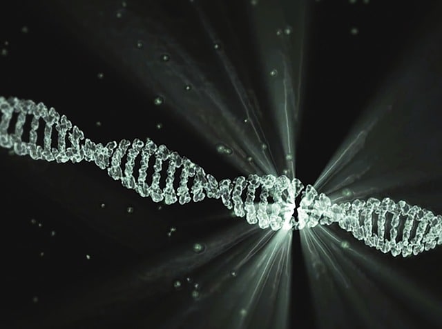 DNA onderzoek
